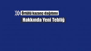 Örtülü kazanç dağıtımı hakkında yeni tebliğ