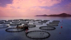 Balık çiftlikleri ile balık yetiştiriciliği hakkında yeni düzenleme