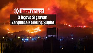 Hatay'da 3 ilçe 21 saattir yanıyor! Belen'de başlayan yangında korkunç şüphe...