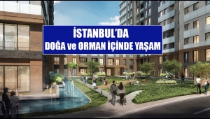 İstanbul'da Ayazağa bölgesinde doğa ve orman içinde evler satışta