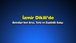 İzmir Dikili'de arsa, zeytinlik ve tarla satışı