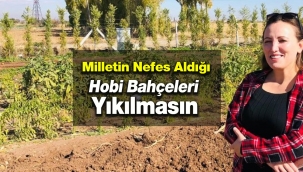 Milletin nefes aldığı 'Hobi Bahçeleri' yıkılmasın