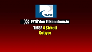 OHAL kapsamında el konulmuştu! TMSF, 4 firmayı satışa çıkardı