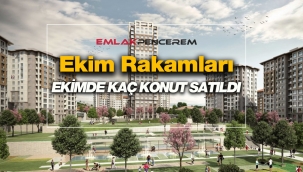 2020 Ekim'de 119 Bin 574 konut satıldı