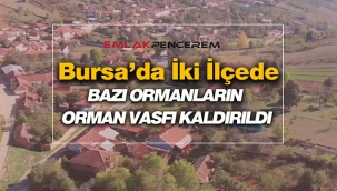 Bursa'da İnegöl ve Yenişehir'de bazı orman sınırları kaldırıldı