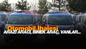 İstanbul'da Jandarma'dan satılık 68 adet ikinci el Arazi aracı, binek, panelvan, minibüs