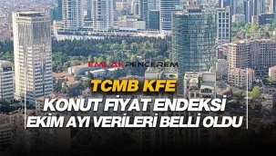 2020 Ekim ayı TCMB Konut Fiyat Endeksi verileri açıklandı