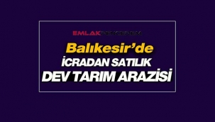 Balıkesir Bandırma'da icradan satılık dev tarım arazisi