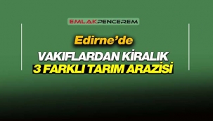 Edirne'de Vakıflar'dan kiralık tarım arazileri