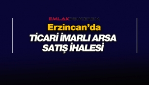 Erzincan'da ticari alan imarlı arsa ihalede satılacak