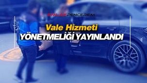 Vale yönetmeliği ayrıntıları belli oldu