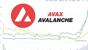 Avax Coin yatırımcısına son bir haftada ne kadar kazandırdı?