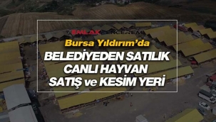 Bursa Yıldırım'da 32 Milyona Belediyeden satılık Kurban Satış ve Kesim alanı
