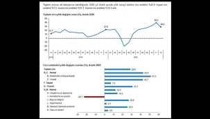 Ciro endeksinde artış