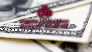 Merkez Bankası'ndan flaş döviz kararı