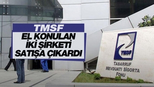 TMSF elindeki 2 şirketi satışa çıkardı