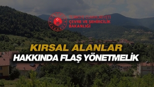 Kırsal mahalle veya kırsal yerleşik alanların tespiti hakkında flaş yönetmelik