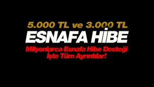 5.000 TL esnaf hibe ödemesi kimlere yapılacak,  hibe ödemesi ne zaman yapılacak?