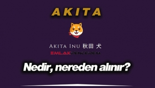 Akita Inu (AKITA) nedir, piyasa değeri, fiyatı kaç TL? AKITA coin nereden alınır, hangi borsada işlem görüyor?