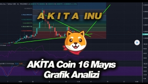Akita INU yatayda bekliyor! AKITA coin 16 Mayıs fiyat analiz yorum