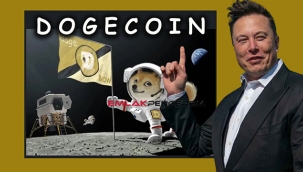 Dogecoin Çökerse Ne Olur? Dogecoin = Elon Musk