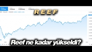 Reef coin yönünü yukarı çevirdi mi? REFUSDT 20 Mayıs yüzde 24 yükseldi