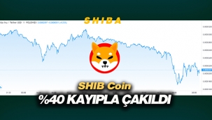 Shiba coin sert çakıldı! SHIB USDT yüzde 40 kaybettirdi, şaka coin'ler bir bir eriyor...