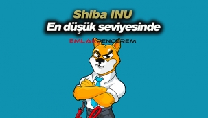 Shiba (SHIB) en düşük seviyesinde! SHIB coin 29 Mayıs fiyat analizi...