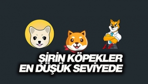 Bu 3 coine girenler en düşük seviyeyi gördü! Shiba, Akita, Kishu Inu coinler son durum...