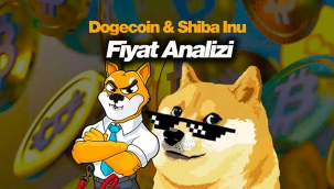 Dogecoin, Shiba Inu son durum! DOGE - SHIB fiyat analizi...