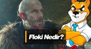 Elon Musk Floki dedi Shiba coin sert yükseldi! Floki nedir?