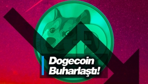 Elon Musk terk edince Dogecoin %70 'buharlaştı'