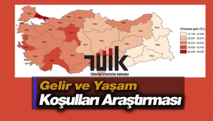 Milyonları ilgilendiren 2021 Gelir ve Yaşam Koşulları Araştırması sonuçları