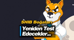 Shiba Inu fiyatı, SHIB boğaları önemli desteği yeniden test edecek