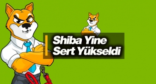Shiba Inu (SHIB) yeniden yükselişe geçti! SHIB coin son 4 sgünde ikinci defa pump yaptı...