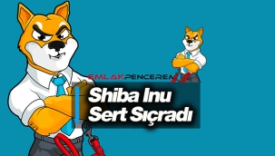 Shiba (SHIB) sert yükseldi! SHIB coin 25 Haziran yüzde 11 sıçrama yaptı...