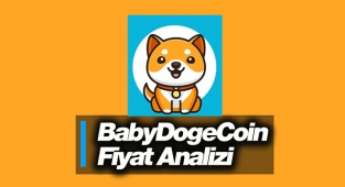 BabyDoge Coin yükselişi sürüyor mu? Baby Doge Coin fiyat analizi