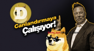 Elon Musk, Dogecoin'i canlandırmaya çalışıyor