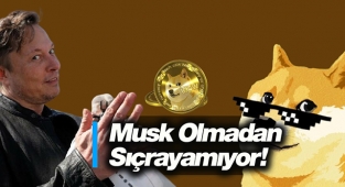 Elon Musk olmadan Dogecoin sert sıçrayamıyor! DOGE'de Fomo tehlikesi...