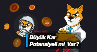 Shiba Inu (SHIB) beklenenden daha iyi! Analist SHIB coin'de büyük kar potansiyeli görüyor