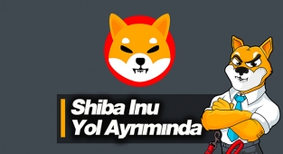 Shiba Inu (SHIB) yol ayrımında! SHIB USDT 3 Temmuz fiyat analizi...
