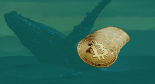 Zengin yatırımcı Bitcoin pazarına geri mi döndü! Boğa işaretinde iki ayın en yüksek seviyesi