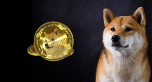 Dogecoin (DOGE) yeni bir ralliye hazırlanıyor