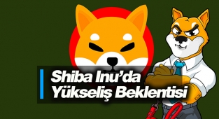 Shiba Inu boğalarının uzun süreli konsolidasyondan sonra SHIB coin için yeni bir plan mı var?
