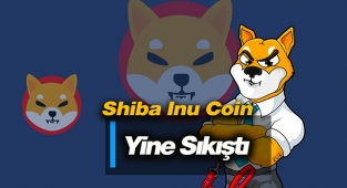 Shiba Inu (SHIB) coin yeniden sıkıştı! SHIB USDT bu kez o seviyelerde takıldı