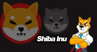 Shiba Inu (SHIB) kritik bir seviyeyi geride bıraktı! SHIB coin 16 Ağustos fiyat analizi