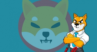 Shiba Inu (SHIB) token bu seviyeyi aşabilecek mi?