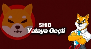 Shiba Inu (SHIB) yataya geçti, güçlenemiyor!