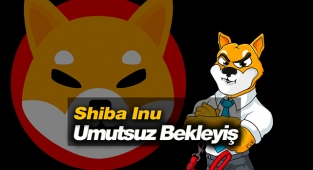 Shiba Inu (SIB) coin yerinde sayıyor! SHIB USDT fiyatı bu aralıkta sabit kaldı, çökme sinyalleri mi var?
