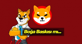 Shiba Inu üzerinde boğa baskısı mı var? SHIB hareketsiz biçimde sıkıştı...